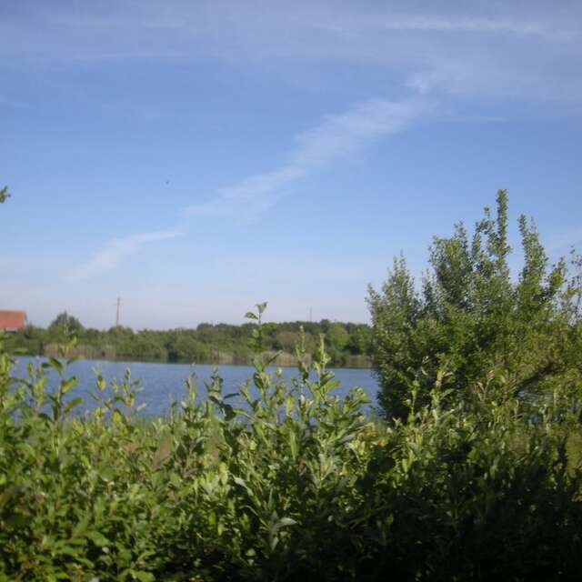 Rendez-vous Nature : De la plume à l'oeuf