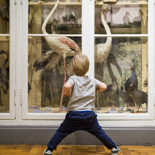 Création de poésie à hauteur des tout-petits / Atelier participatif autour des tapis sensoriels