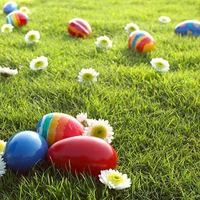 Petits fermiers en fête: Nourrissage et chasse aux oeufs à la Ferme aux paons