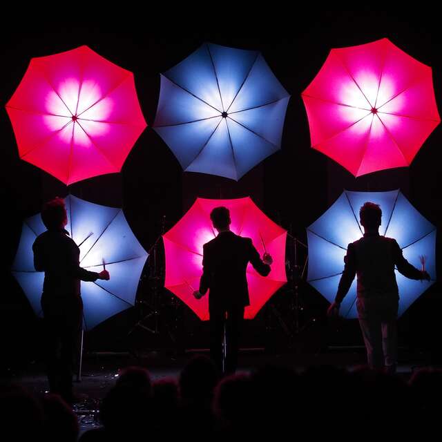 Spectacle "Drum Brothers"