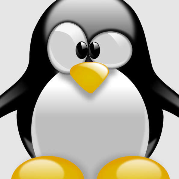 Linux Install Party