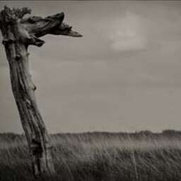 Exposition photos "Ombres de vie, ombres d'acier" à Valenciennes