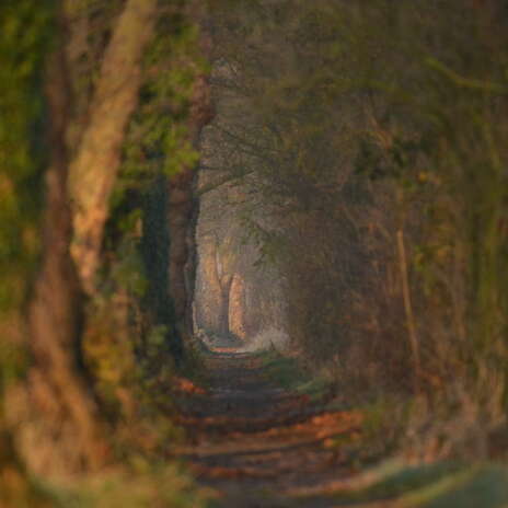 Rallye "Nature, fais-moi peur"
