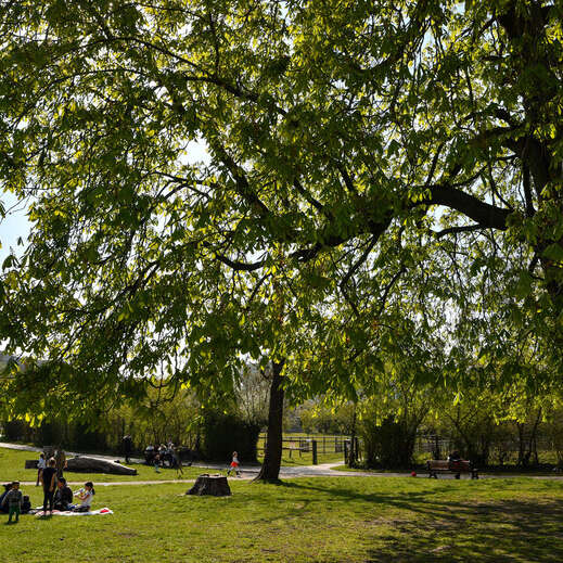 Parc des Dondaines