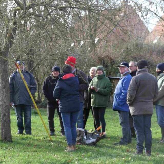 Stage de taille des arbres fruitiers au Musée de la vie rurale