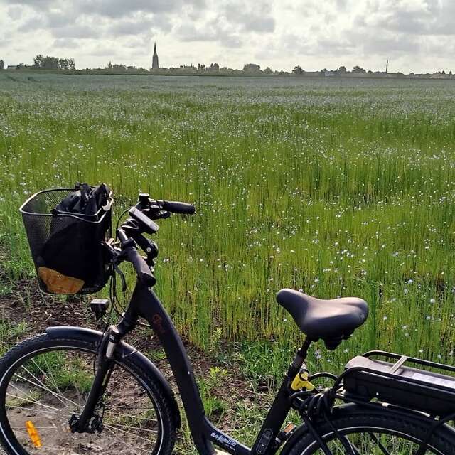 Location de vélos et de trottinettes électriques