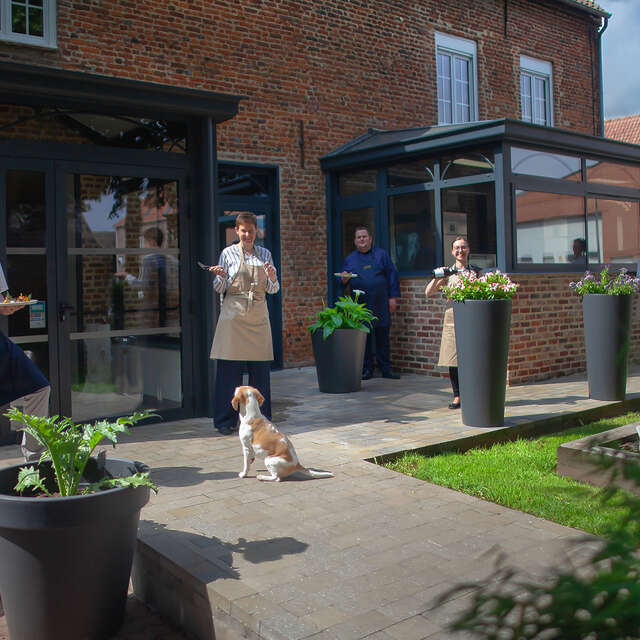 Au coeur d'artichaut