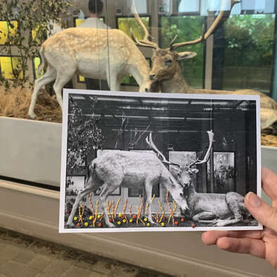 Atelier Broderie sur photos - au Mini-Lab / Le MHN fait le Mur