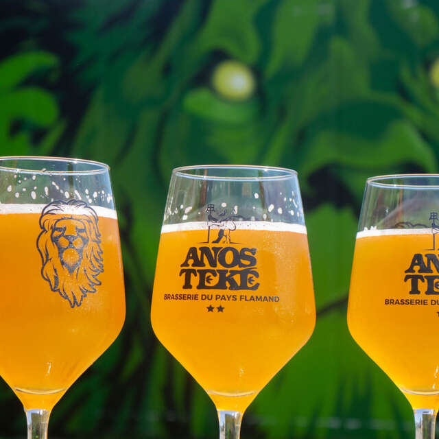 Atelier bière à la brasserie du Pays Flamand à Blaringhem
