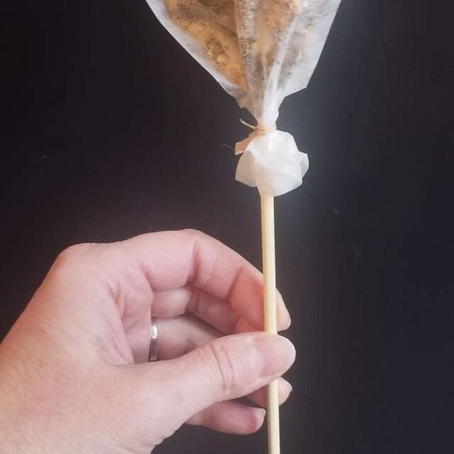 Atelier création de sucette à infuser avec chuchotements de fleurs