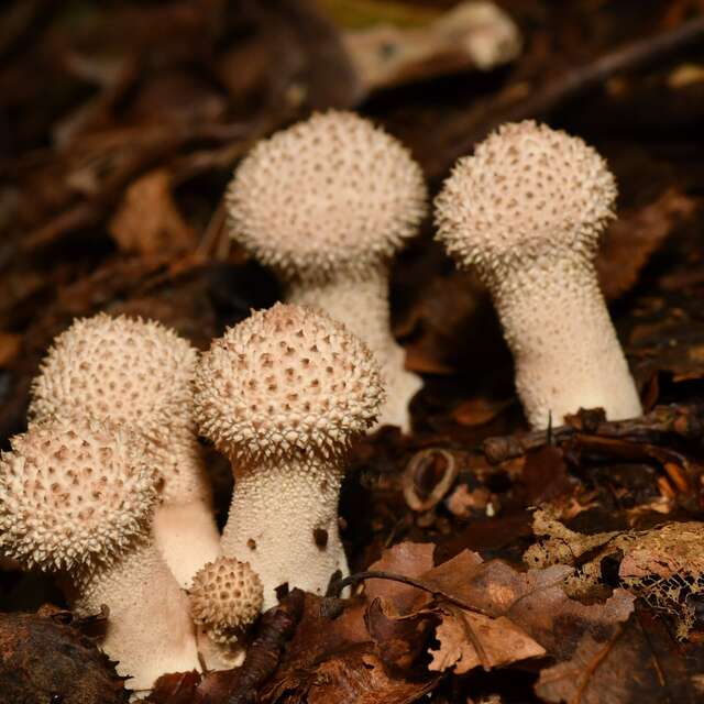 La nature au plus haut !