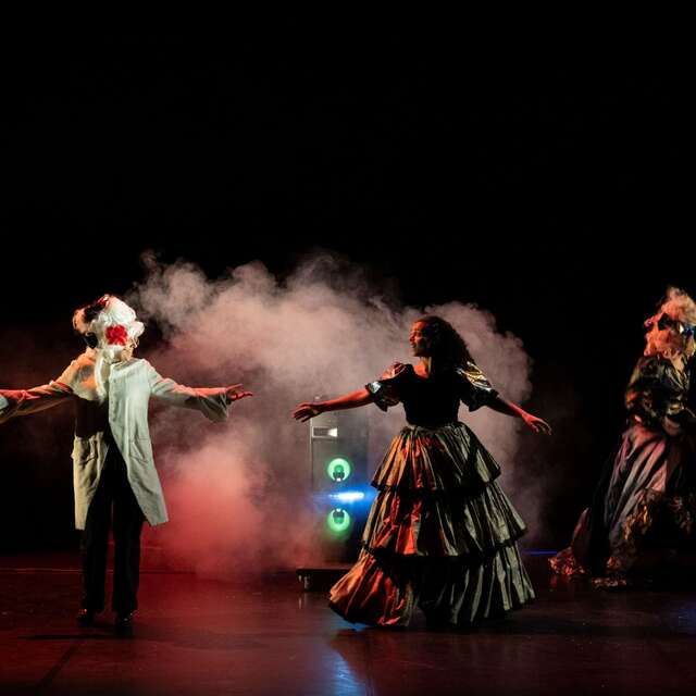 Roman performance "Madame Bovary"