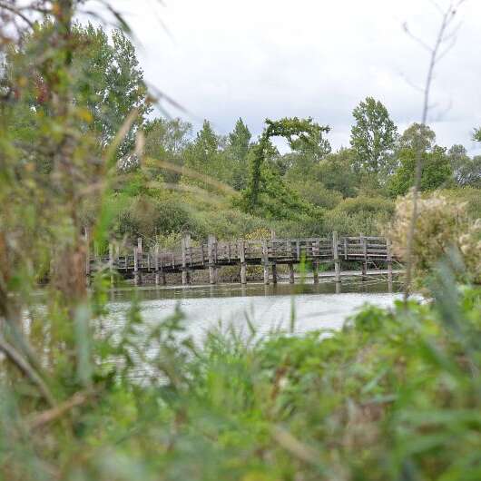 Les Marais de la Marque