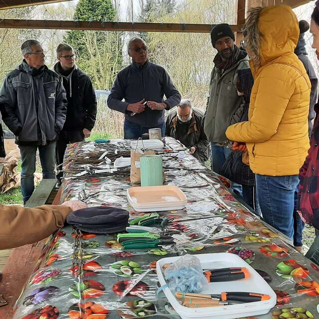 Atelier de greffage aux Jardins du cygne