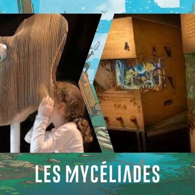 Expositions du collectif "Les Yeux d'Argos" dans le cadre du Festival  de Science-Fiction "Les Mycéliades : Résiliences"