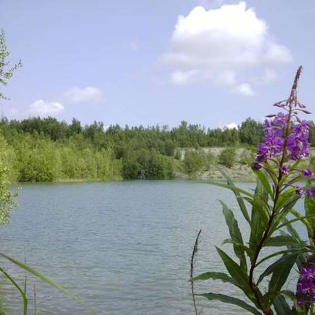 Balade nature au Lac Bleu de Watten