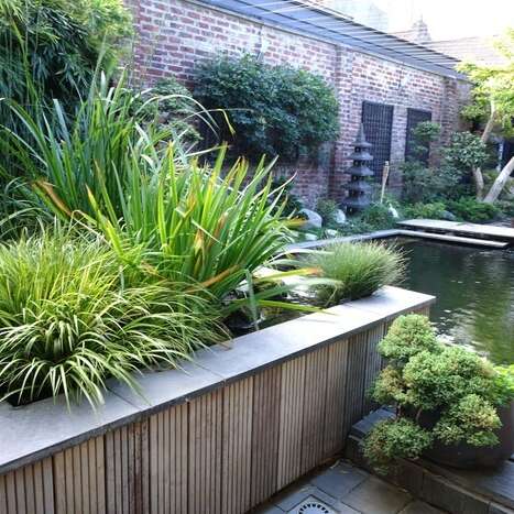 Le Sentier du Chimonobambusa