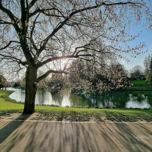 Visite olfactive au parc Barbieux