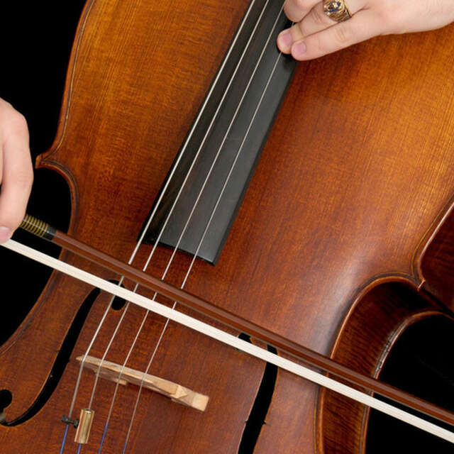 Rachel Koblyakov, Guy Danel, Orlando Bass