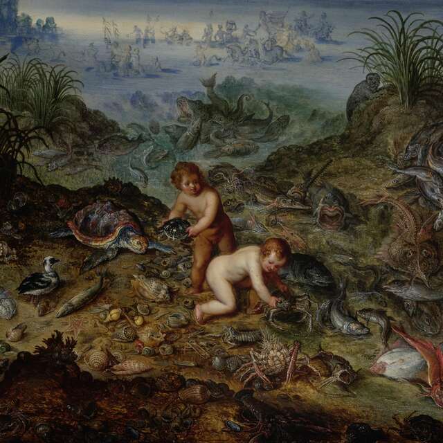 Parcours famille "À la poursuite des éléments" au Musée de Flandre