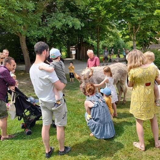 Journée mondiale des animaux et de leurs soigneurs