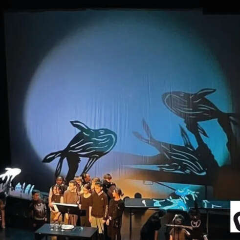 Spectacle : Les Impromptus, ombres et musique