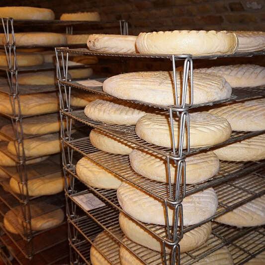 Visite guidée du pâturage au fromage