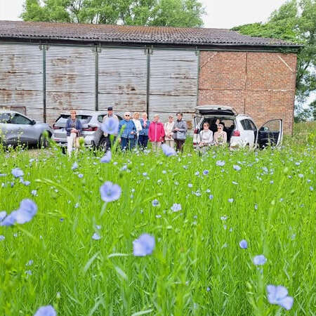 Les mardis du lin