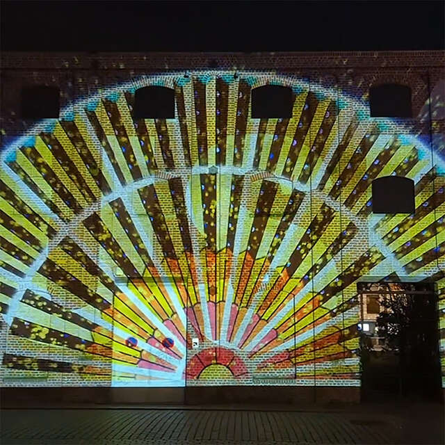 Visite guidée privilège des projections des Nuits des Arts lumineux