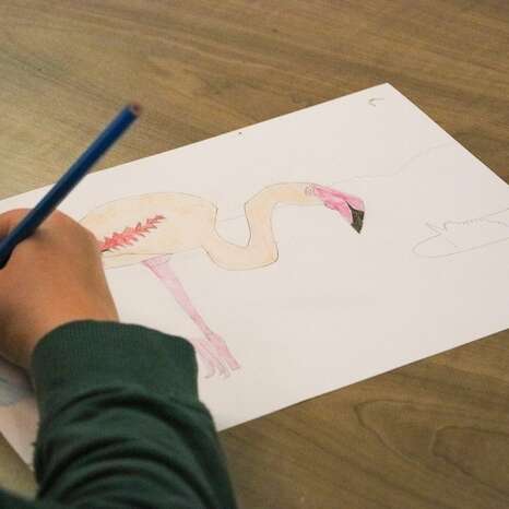 Atelier Dessin - au Mini-Lab / Le MHN fait le Mur