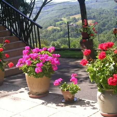 Le Colombié (Studio)