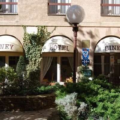 Hôtel Biney (Groupes)
