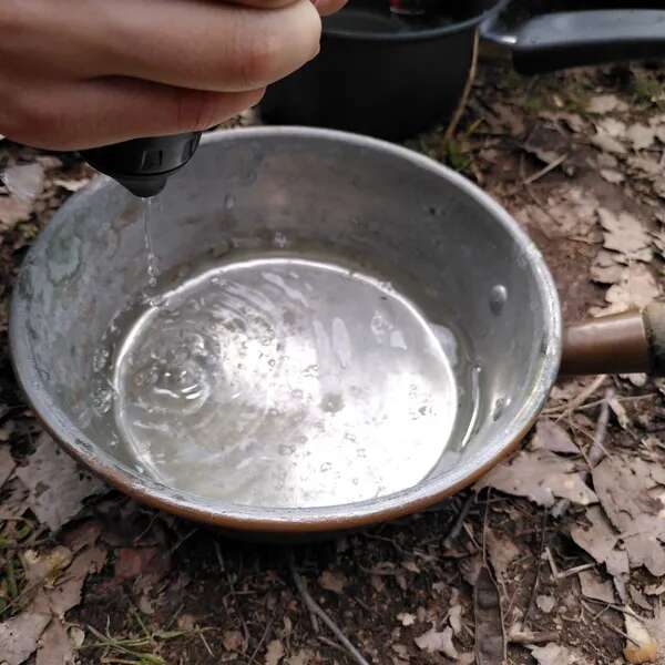 Stage Nature Adulte - Survie douce