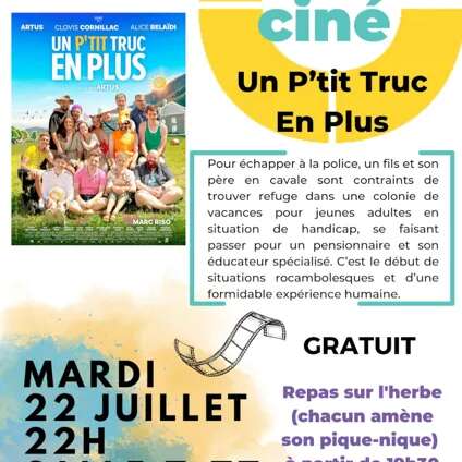 Picnic-ciné