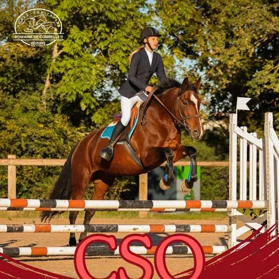 Concours CSO