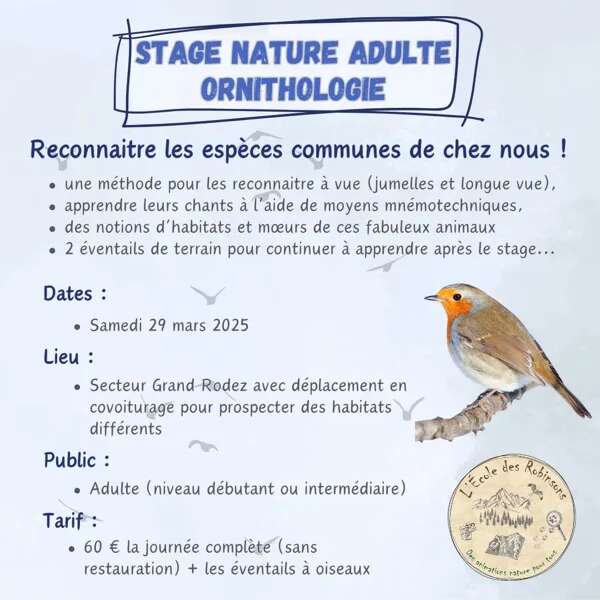 Stage nature ornithologie