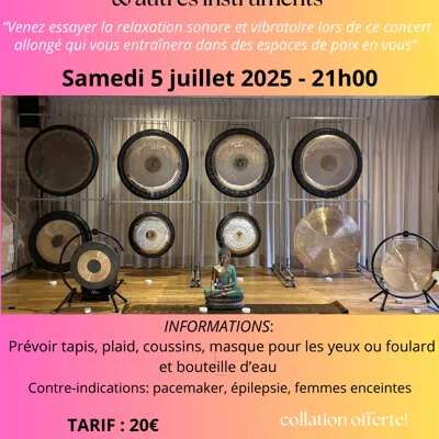 Concert méditatif : Bain de gongs & autres instruments