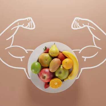 SANTE ALIMENTATION