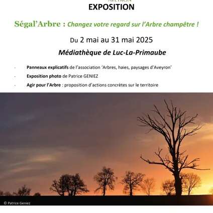Exposition Ségal'Arbre