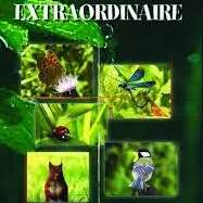Projection Médiathèque de Rodez : Un jardin extraordinaire