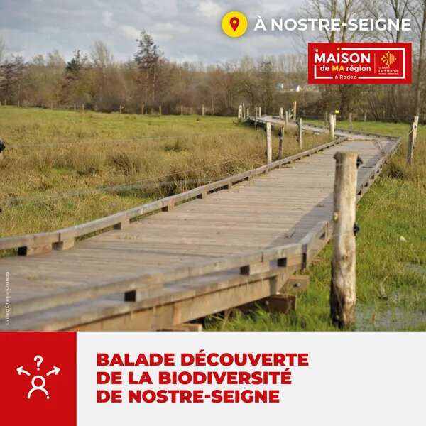 Balade découverte de la biodiversité de Nostre-Seigne