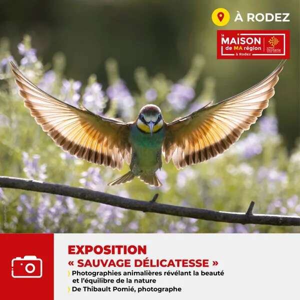 Exposition photo animalière "Sauvage Délicatesse"