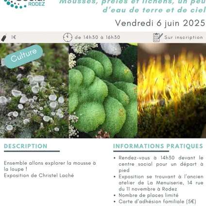 Exposition mousses à la Menuiserie
