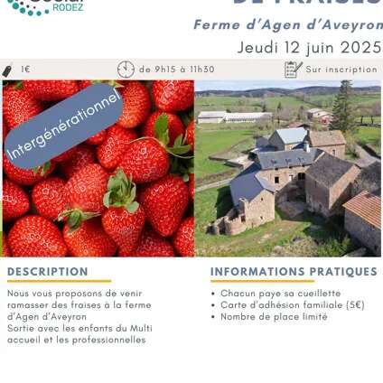 Cueillette de fraises avec le Centre Social de Rodez