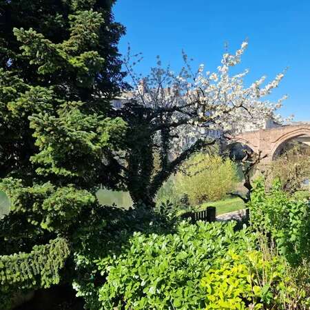 Au P'tit Bonheur du Lot