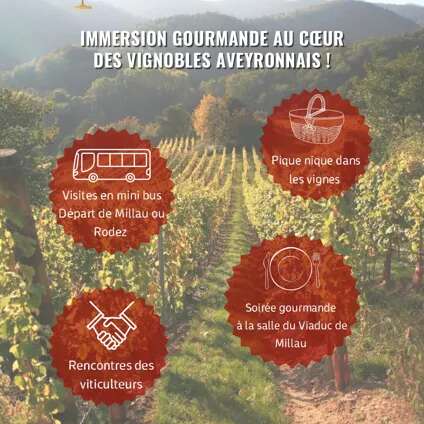 Aveyron Wine Tour