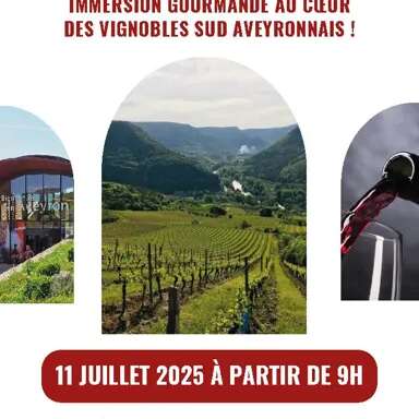 Aveyron Wine Tour
