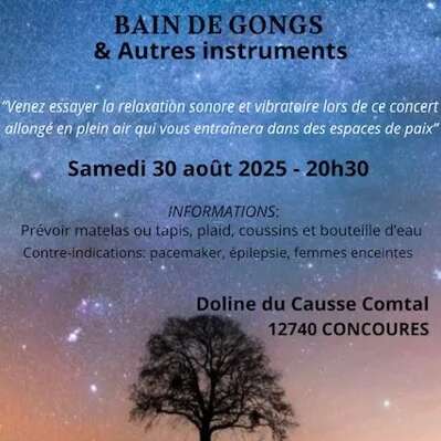 Concert méditatif sous les étoiles