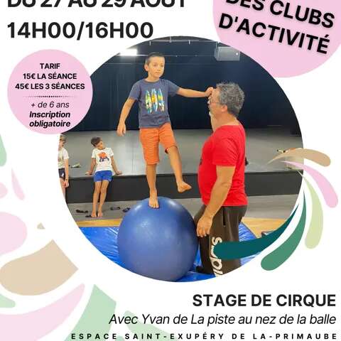 Stage de Cirque