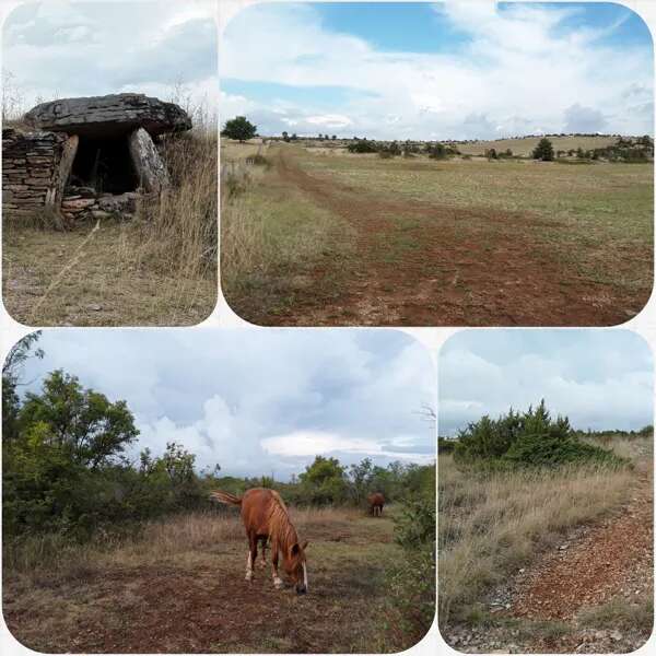 Mercredis cultur'actifs : sortie tumulus, atelier et goûter